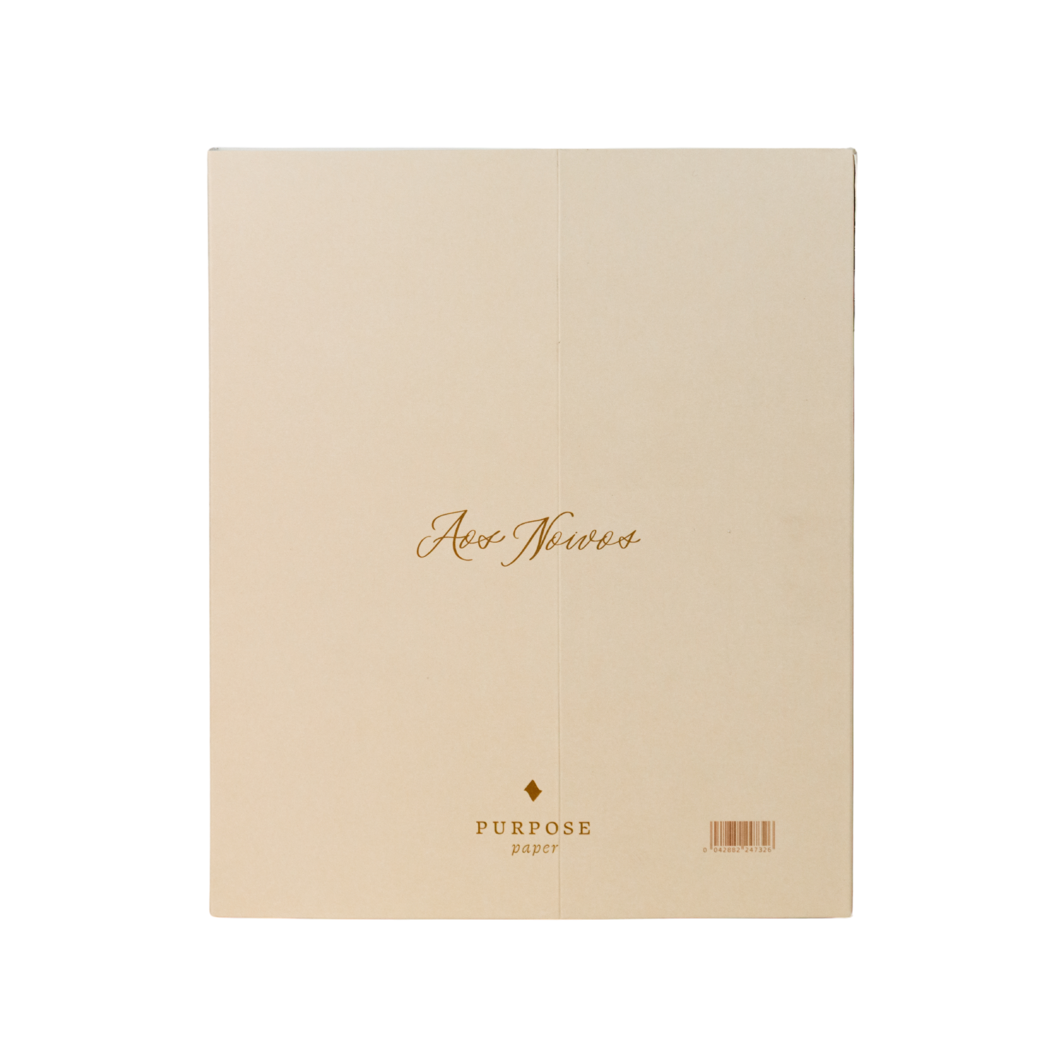 Planner de Casamento - Nossa Aliança