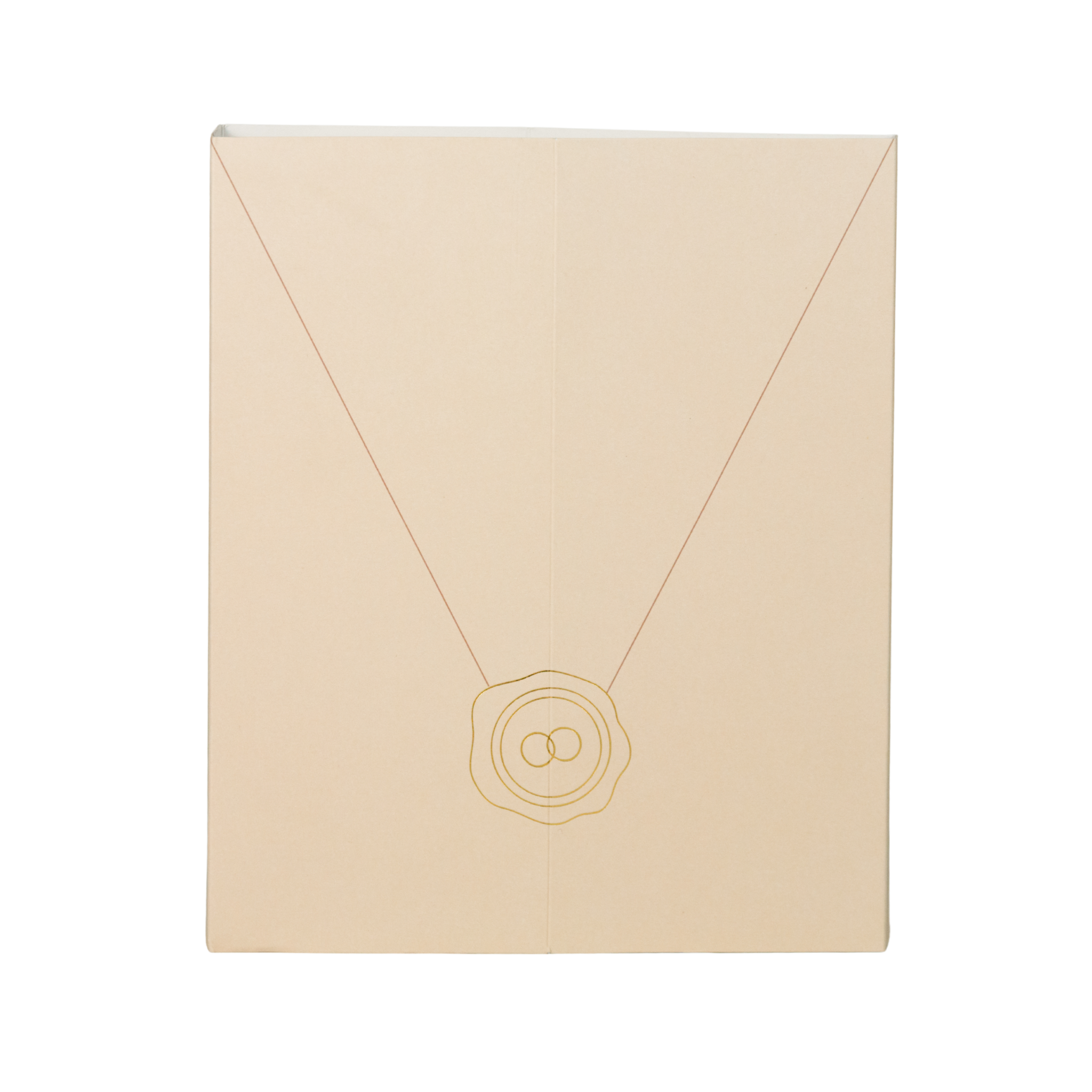 Planner de Casamento - Nossa Aliança