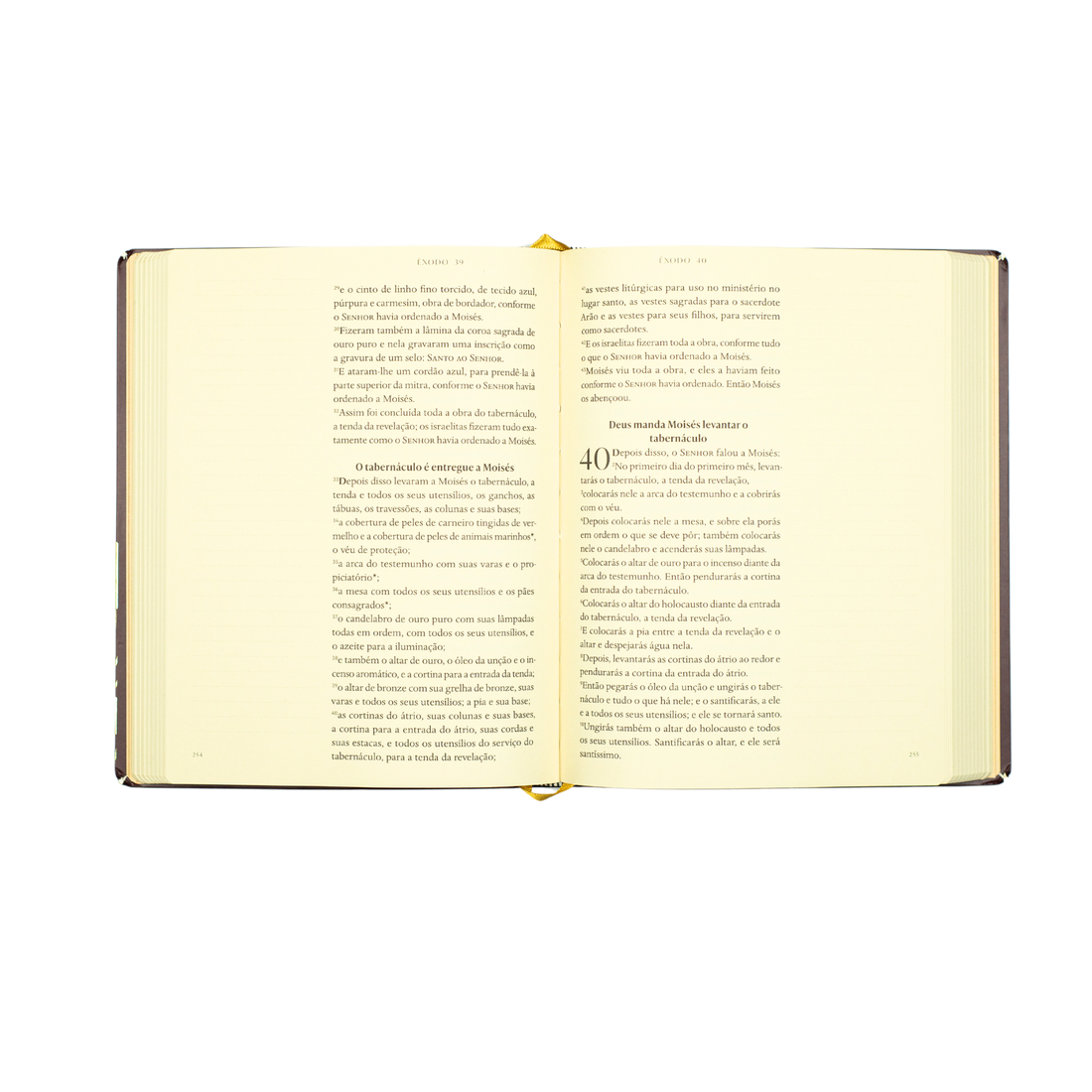 Bible Journal - Pentateuco (A21)