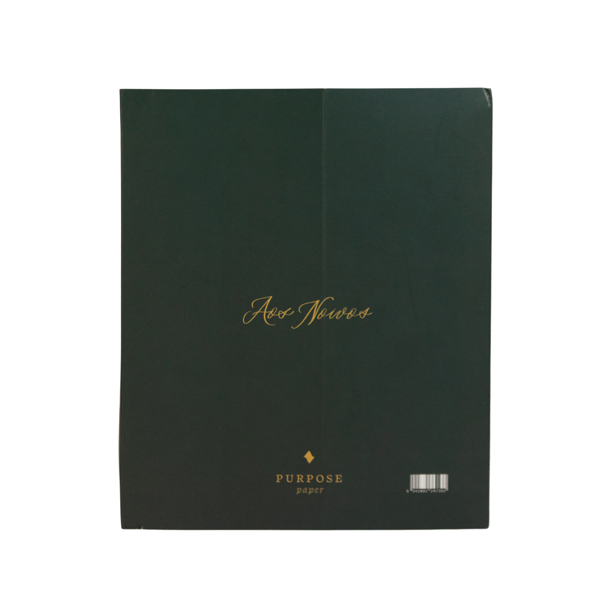 Planner de Casamento - Nossa Aliança