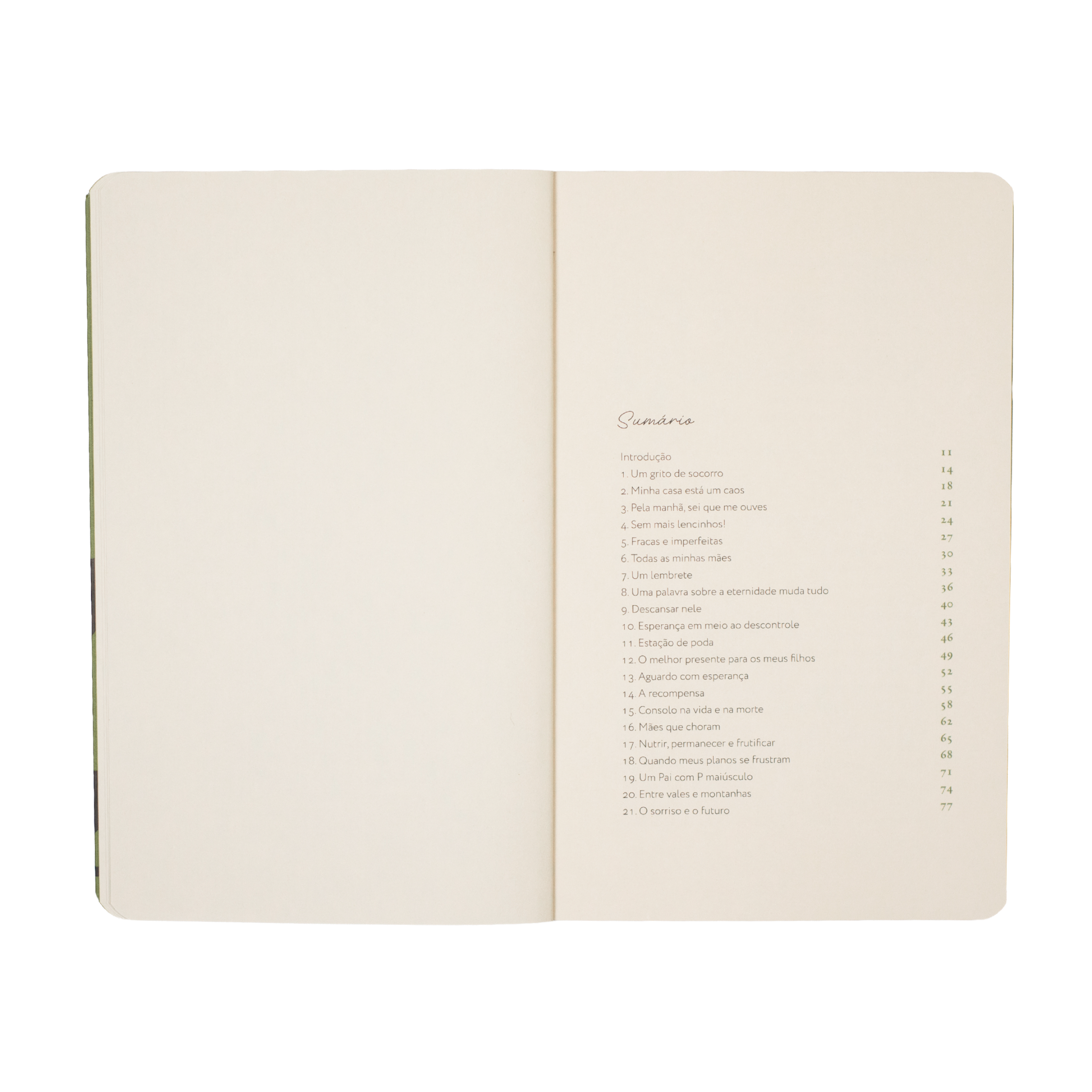 Para Mães Sem Esperança - Devocionais para um maternar confiante