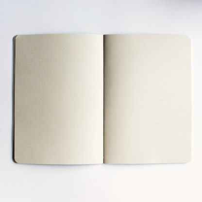 Cadernetas: The Purpose Book