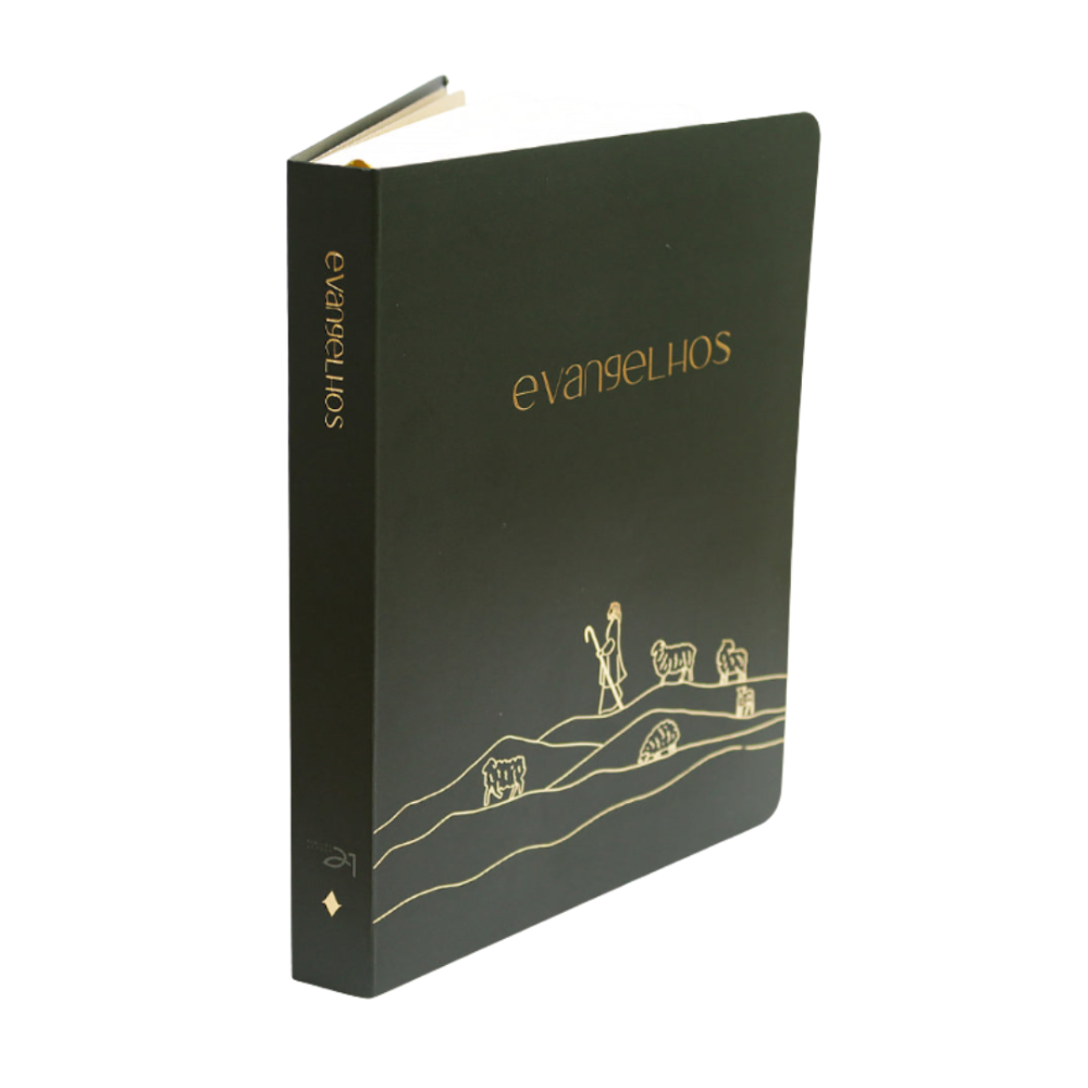 Bible Journal Os 4 Evangelhos A21 capa