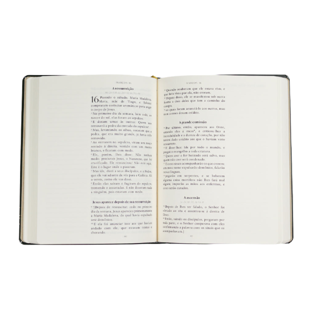 Bible Journal Os 4 Evangelhos A21 página de abertura Evangelho de Marcos cap 16
