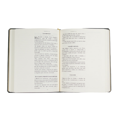 Bible Journal - Os 4 Evangelhos (A21)
