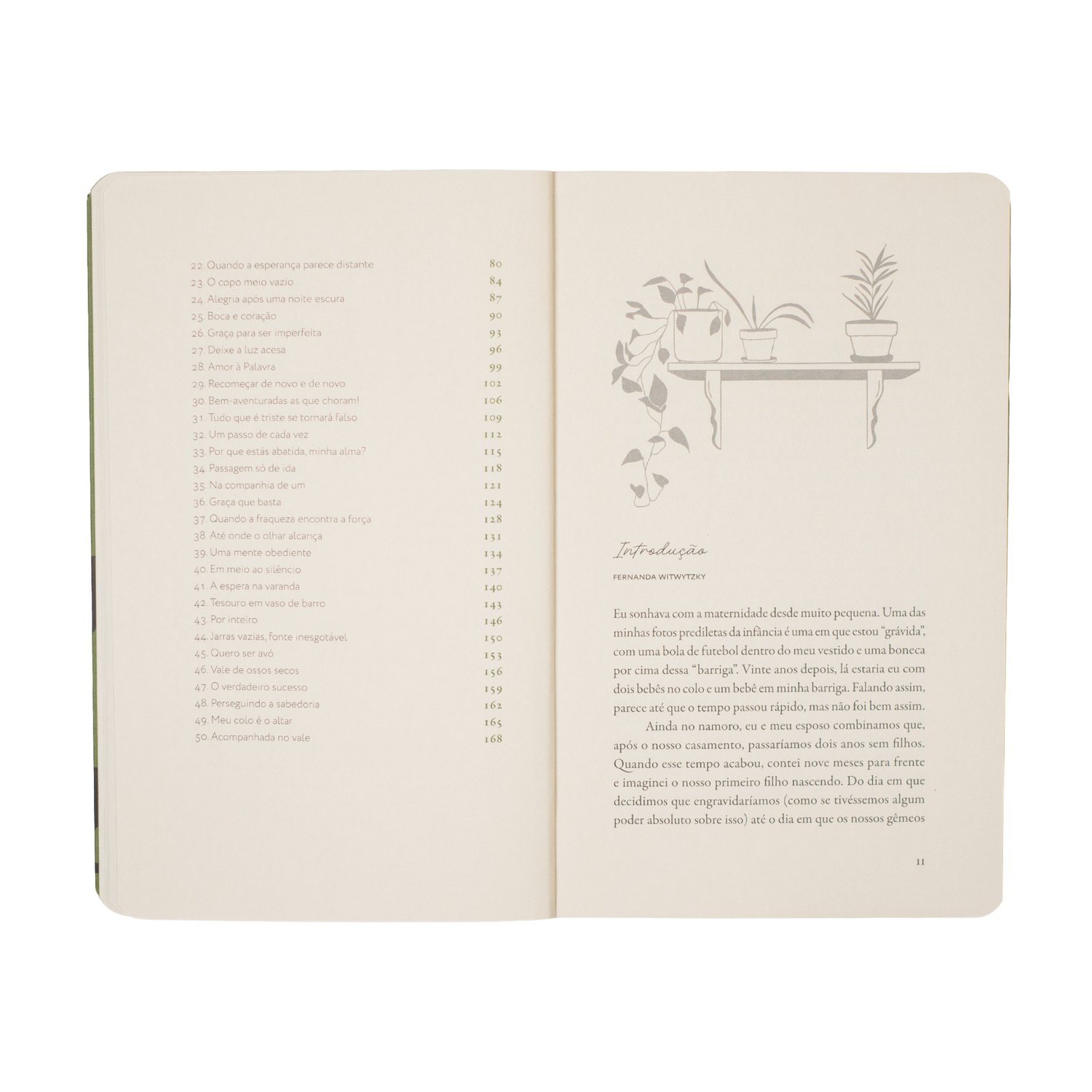 Para Mães Sem Esperança - Devocionais para um maternar confiante