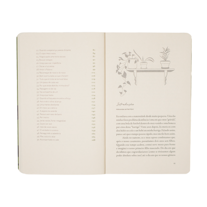 Para Mães Sem Esperança - Devocionais para um maternar confiante