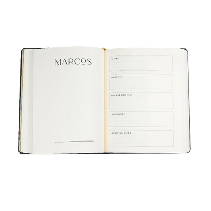 Bible Journal - Os 4 Evangelhos (A21)