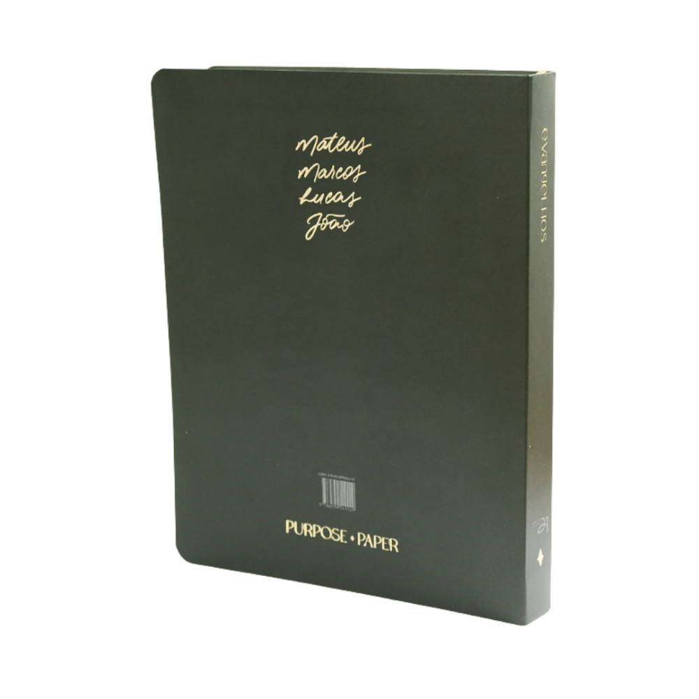 Bible Journal Os 4 Evangelhos A21  verso