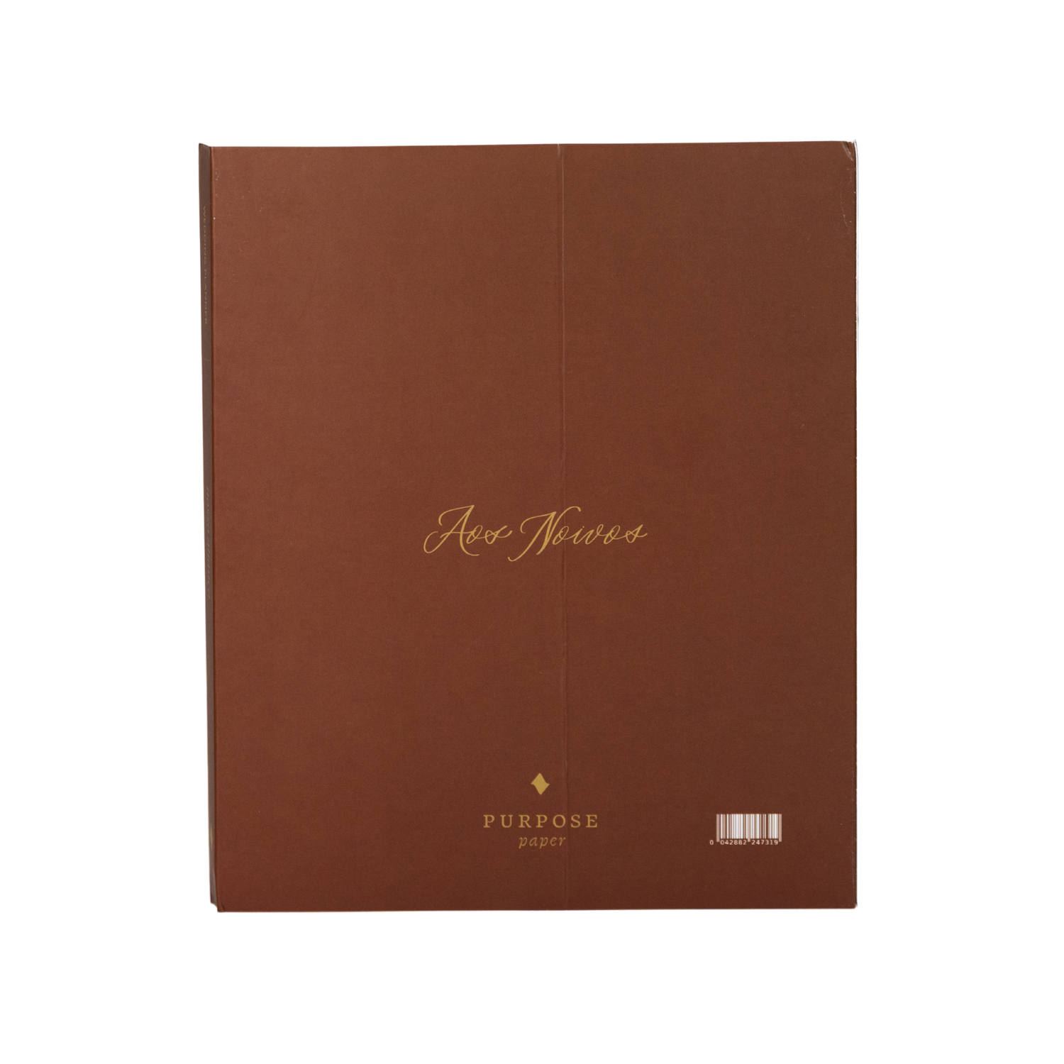 Planner de Casamento - Nossa Aliança
