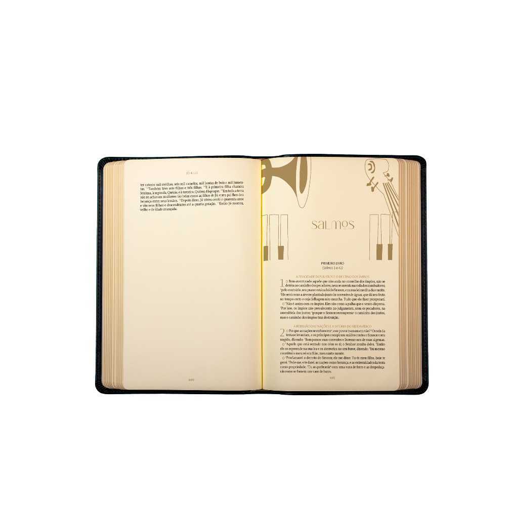 Página interna da Bíblia Purpose Book texto Almeida Século 21 coluna única