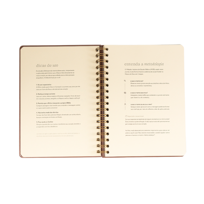 Journal Praticando a Palavra aberto dicas de uso