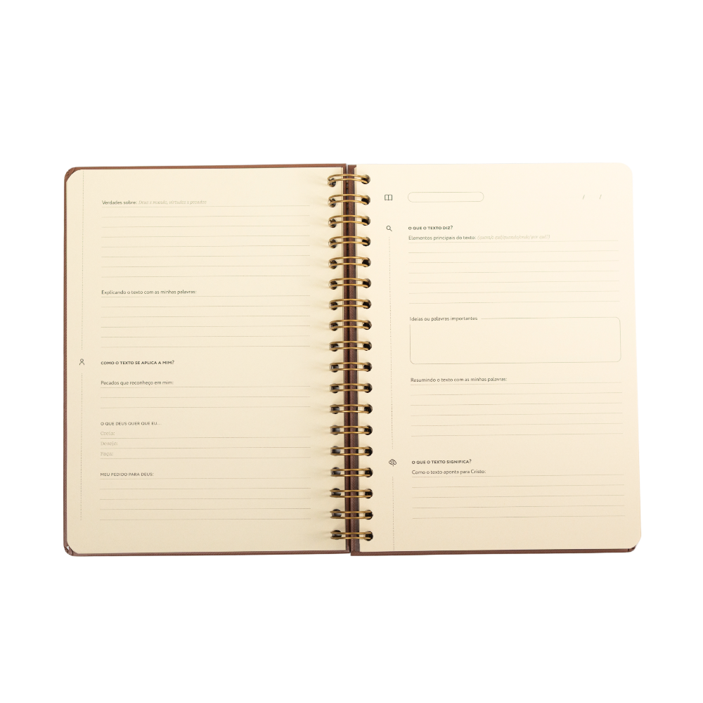 Journal Praticando a Palavra aberto mostrando páginas  o que o texto diz