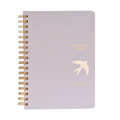 Journal Praticando a Palavra capa azul