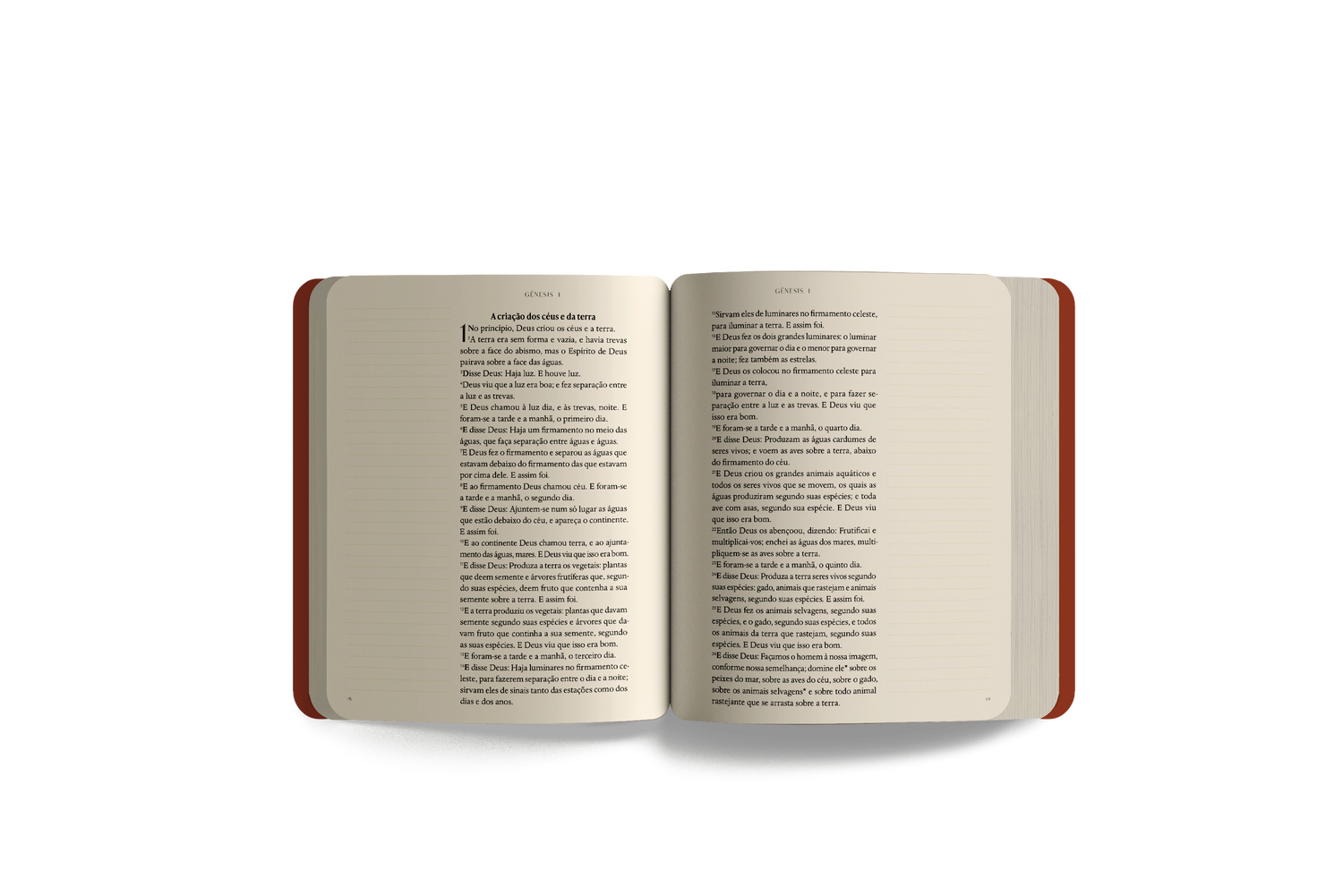 Bible Journal: Pentateuco