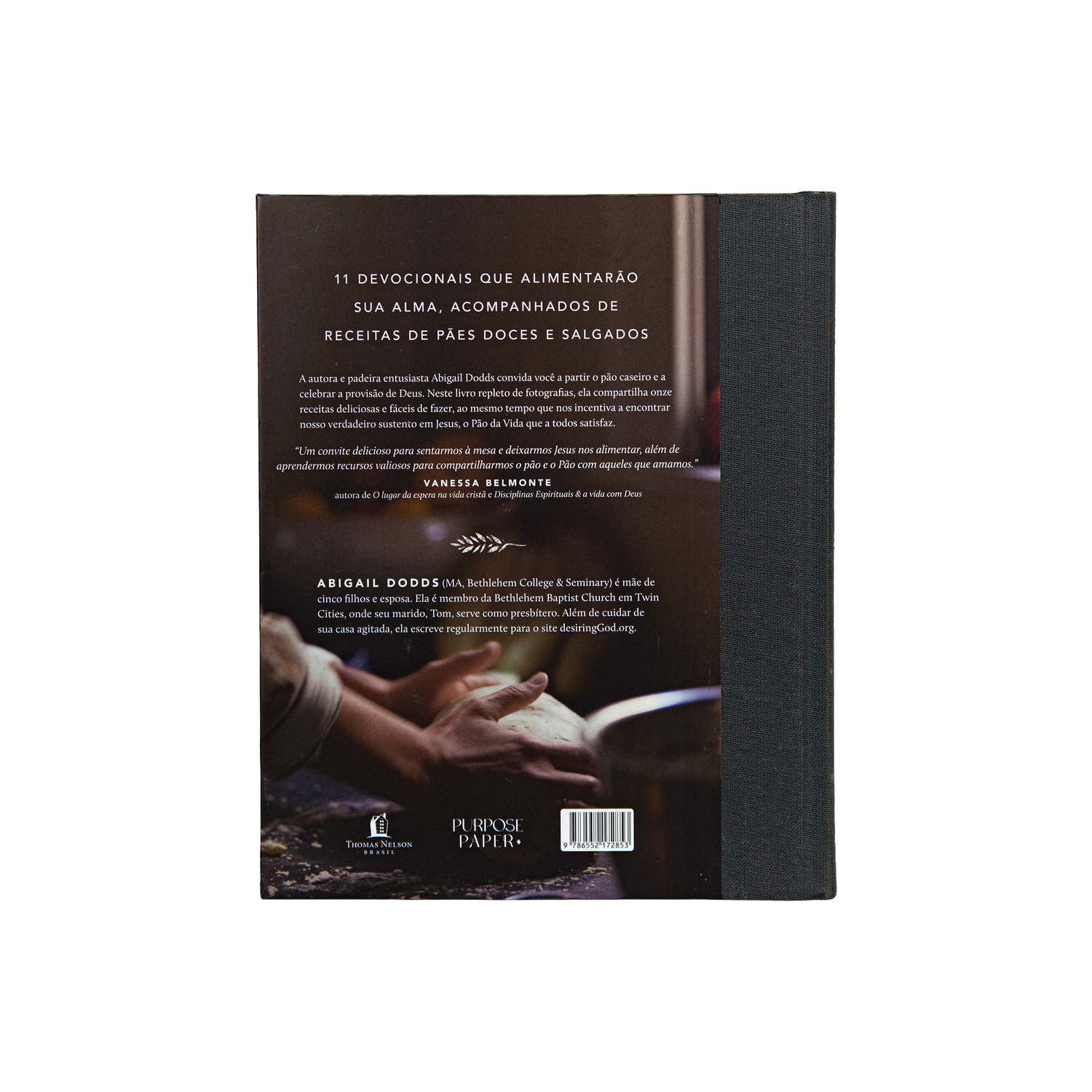 Pão da vida: devocionais que alimentarão sua alma