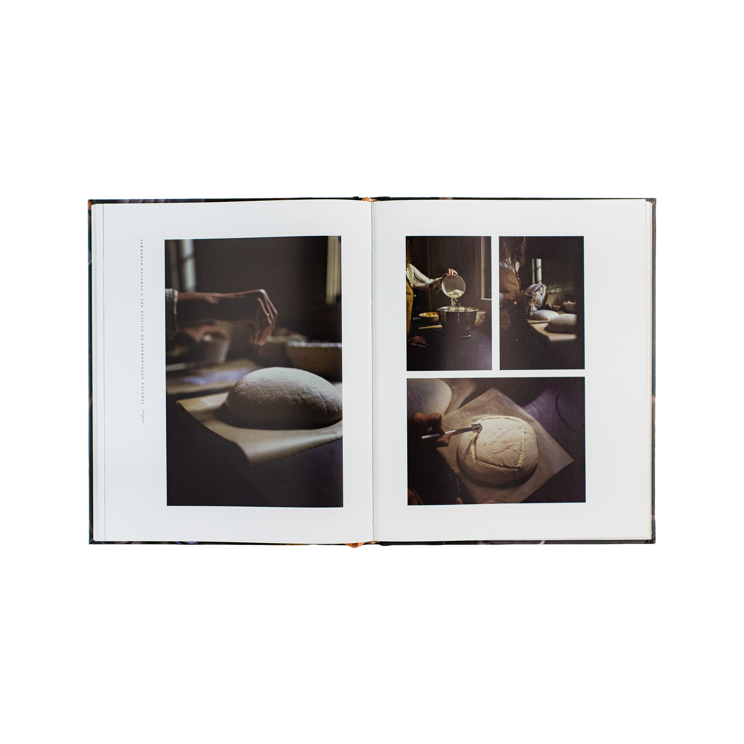 Pão da vida: devocionais que alimentarão sua alma