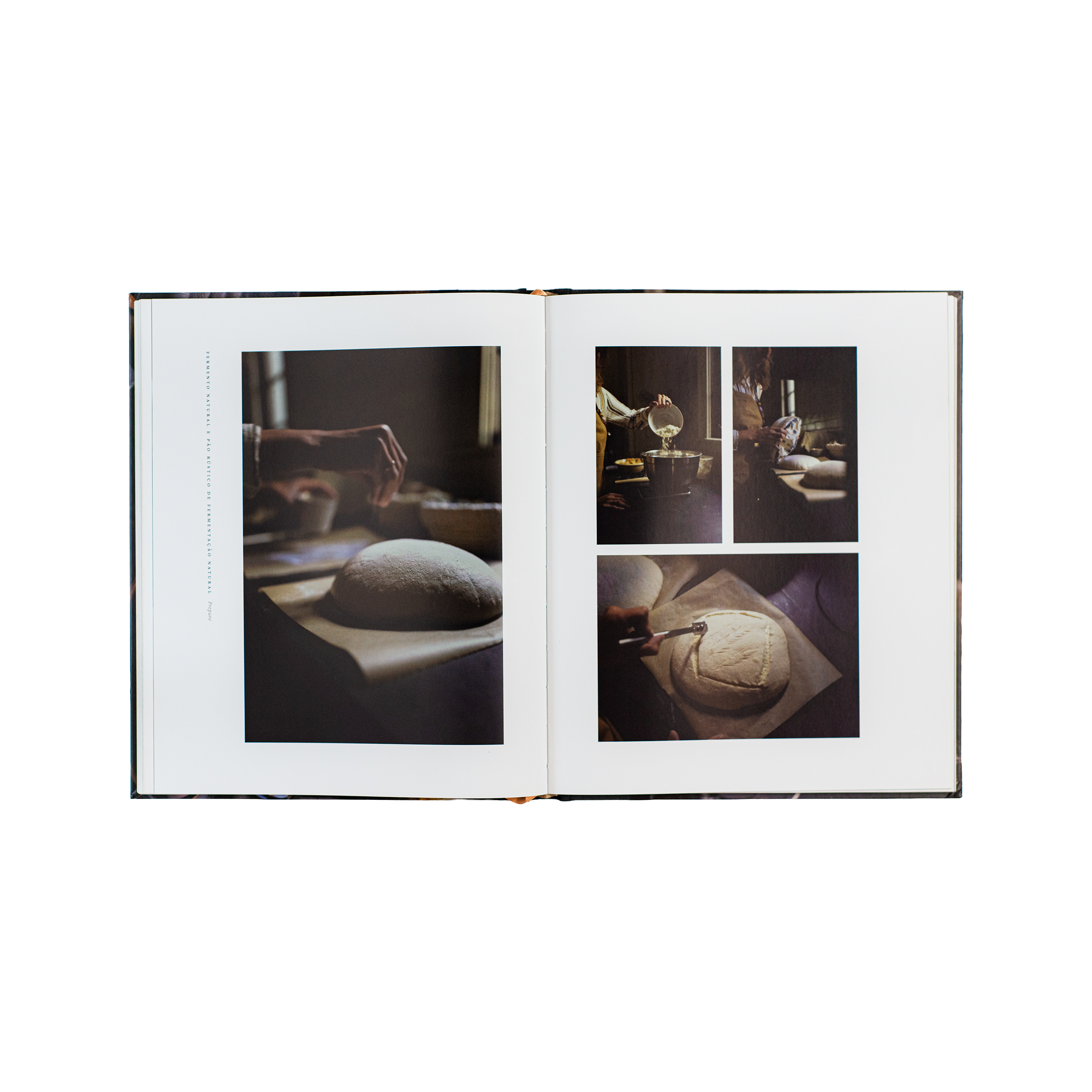 Pão da vida: devocionais que alimentarão sua alma