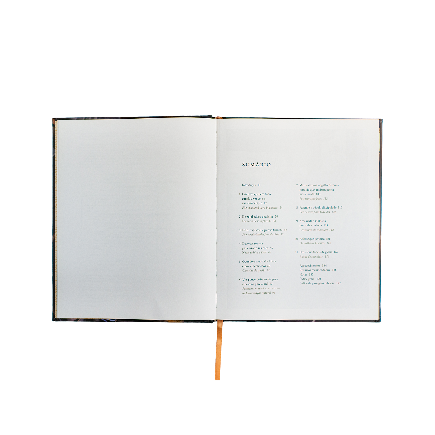 Pão da vida: devocionais que alimentarão sua alma