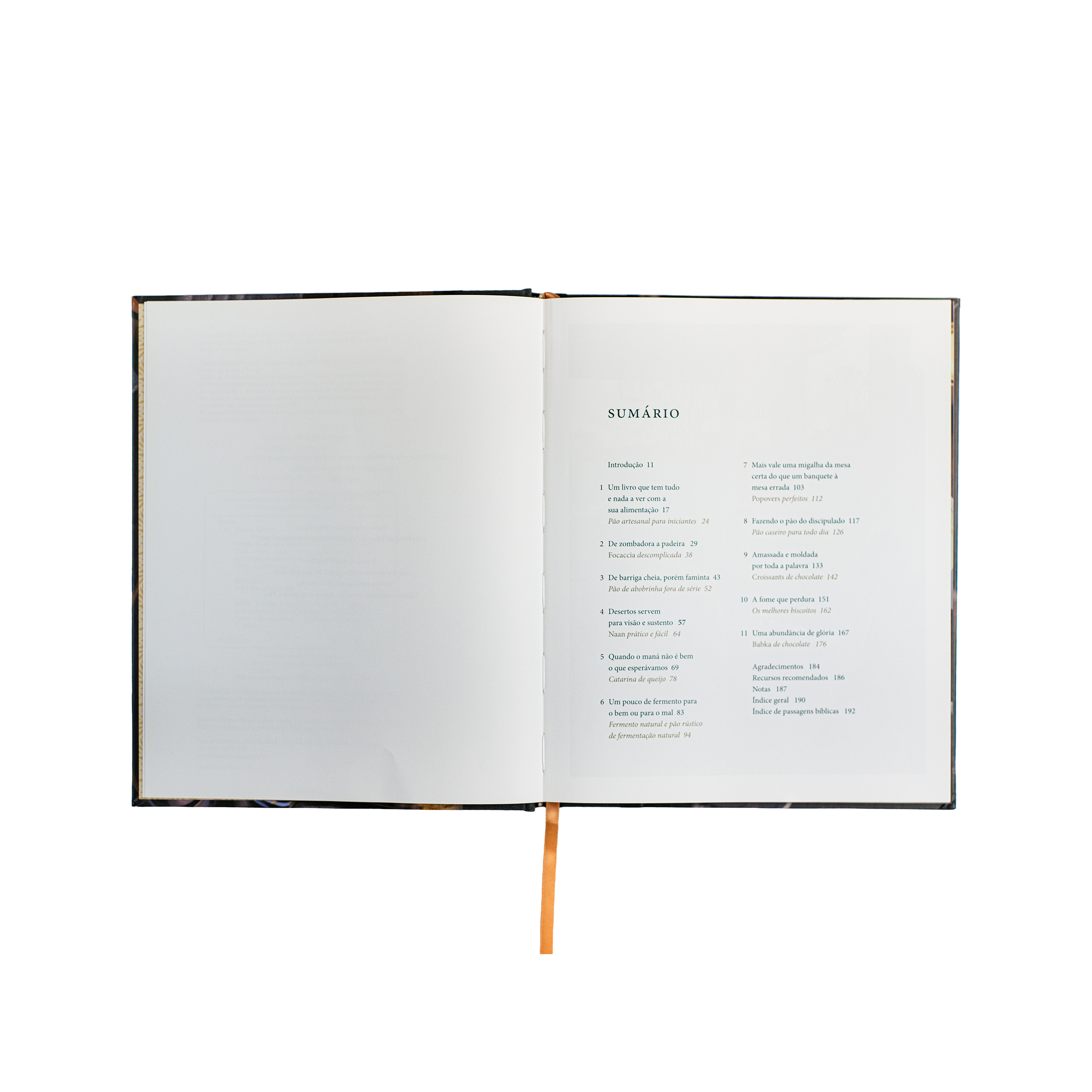 Pão da vida: devocionais que alimentarão sua alma