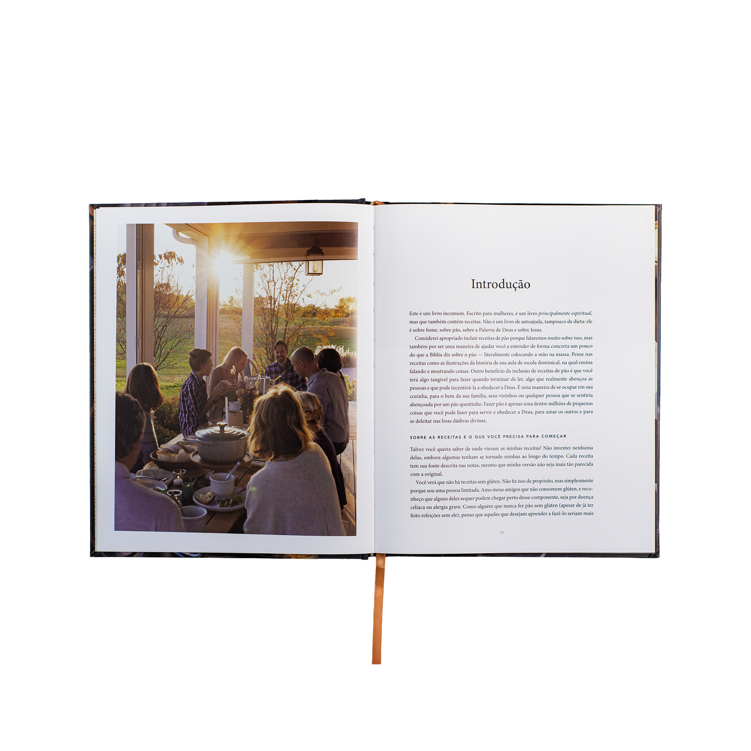 Pão da vida: devocionais que alimentarão sua alma