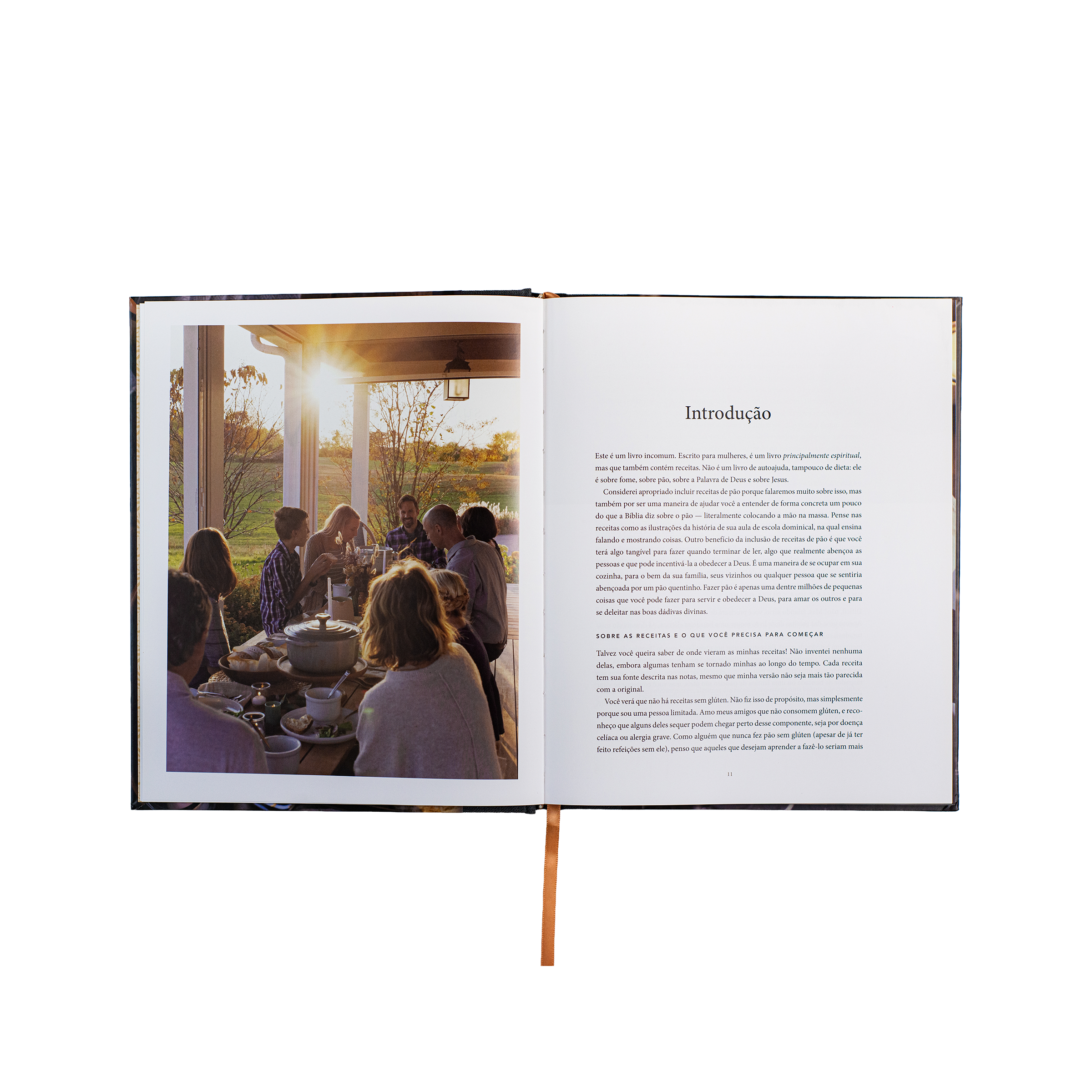 Pão da vida: devocionais que alimentarão sua alma