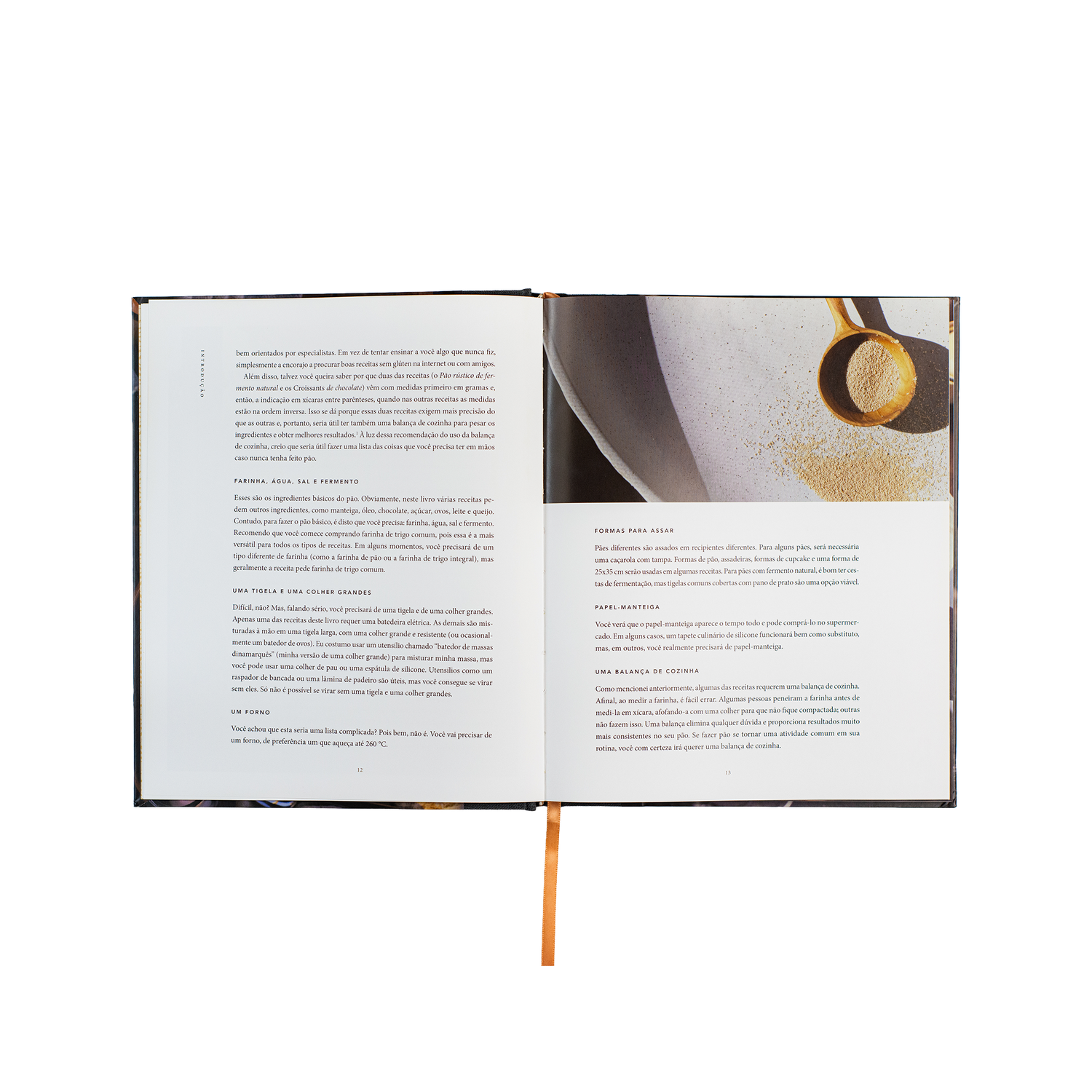 Pão da vida: devocionais que alimentarão sua alma