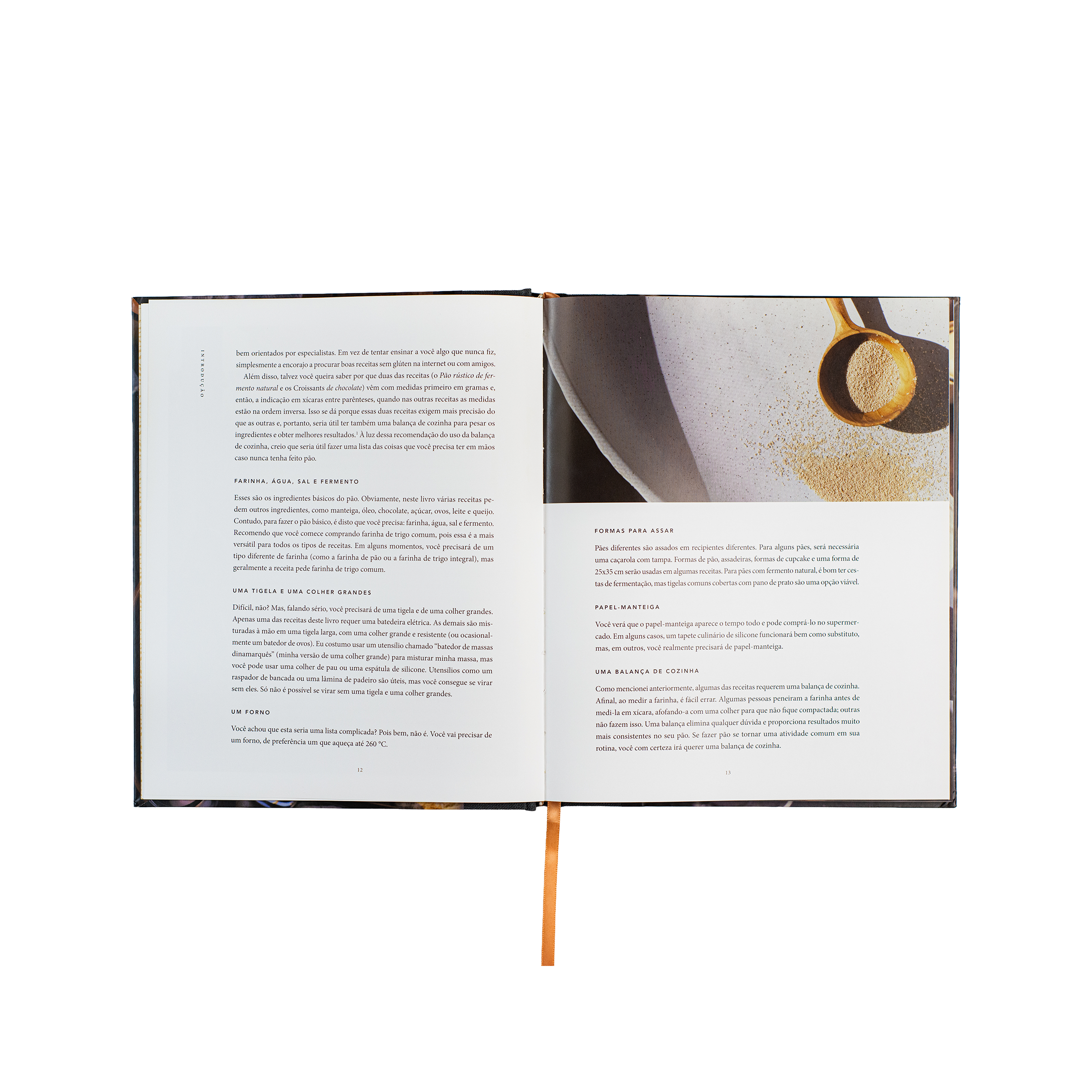 Pão da vida: devocionais que alimentarão sua alma