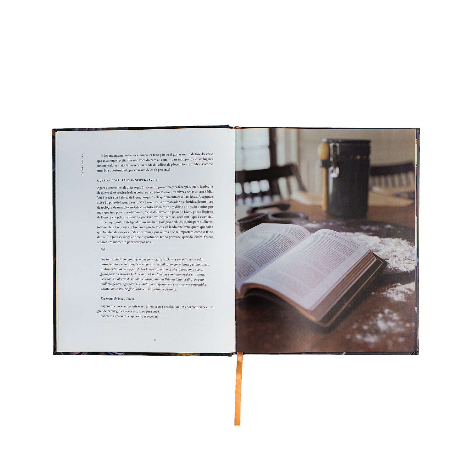 Pão da vida: devocionais que alimentarão sua alma