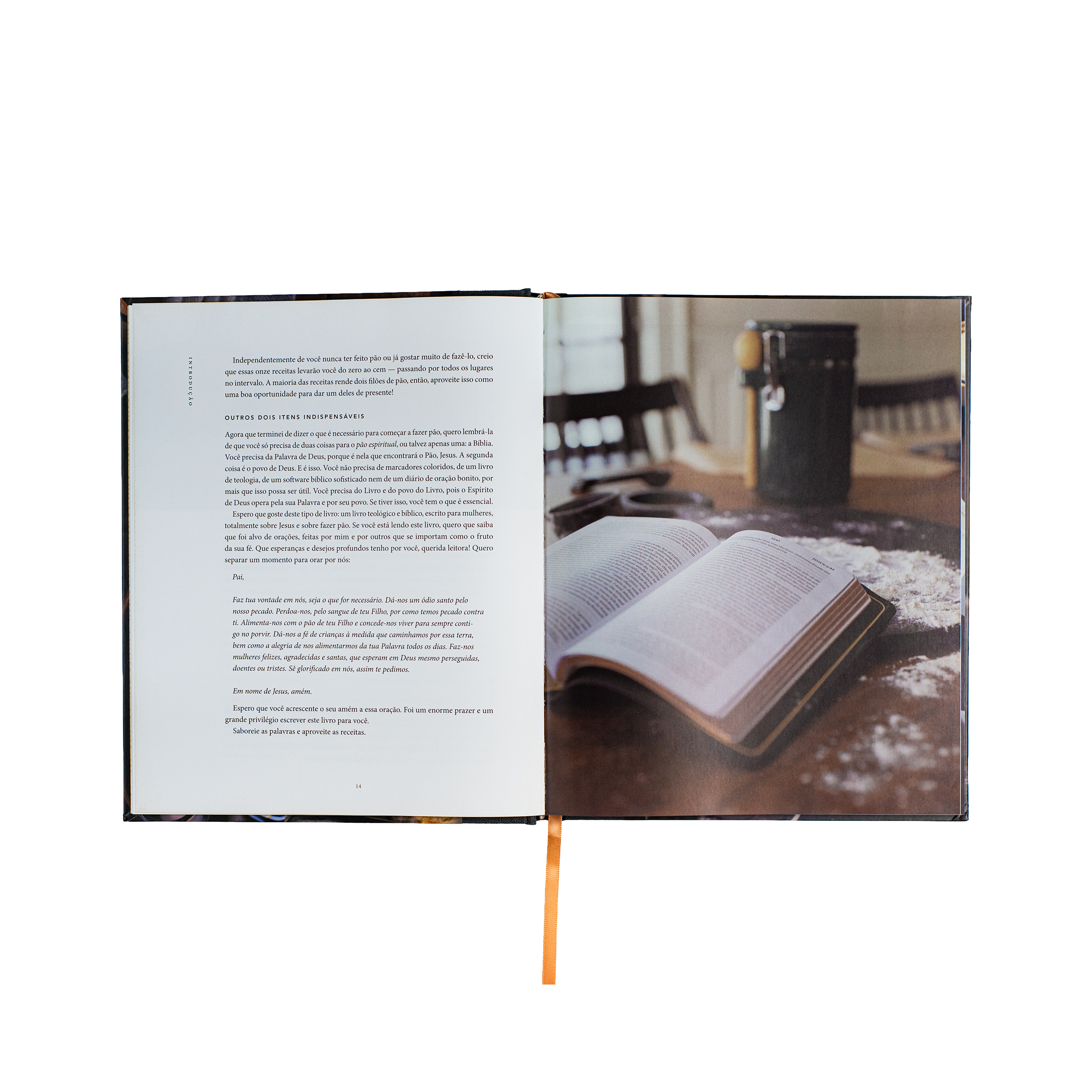Pão da vida: devocionais que alimentarão sua alma