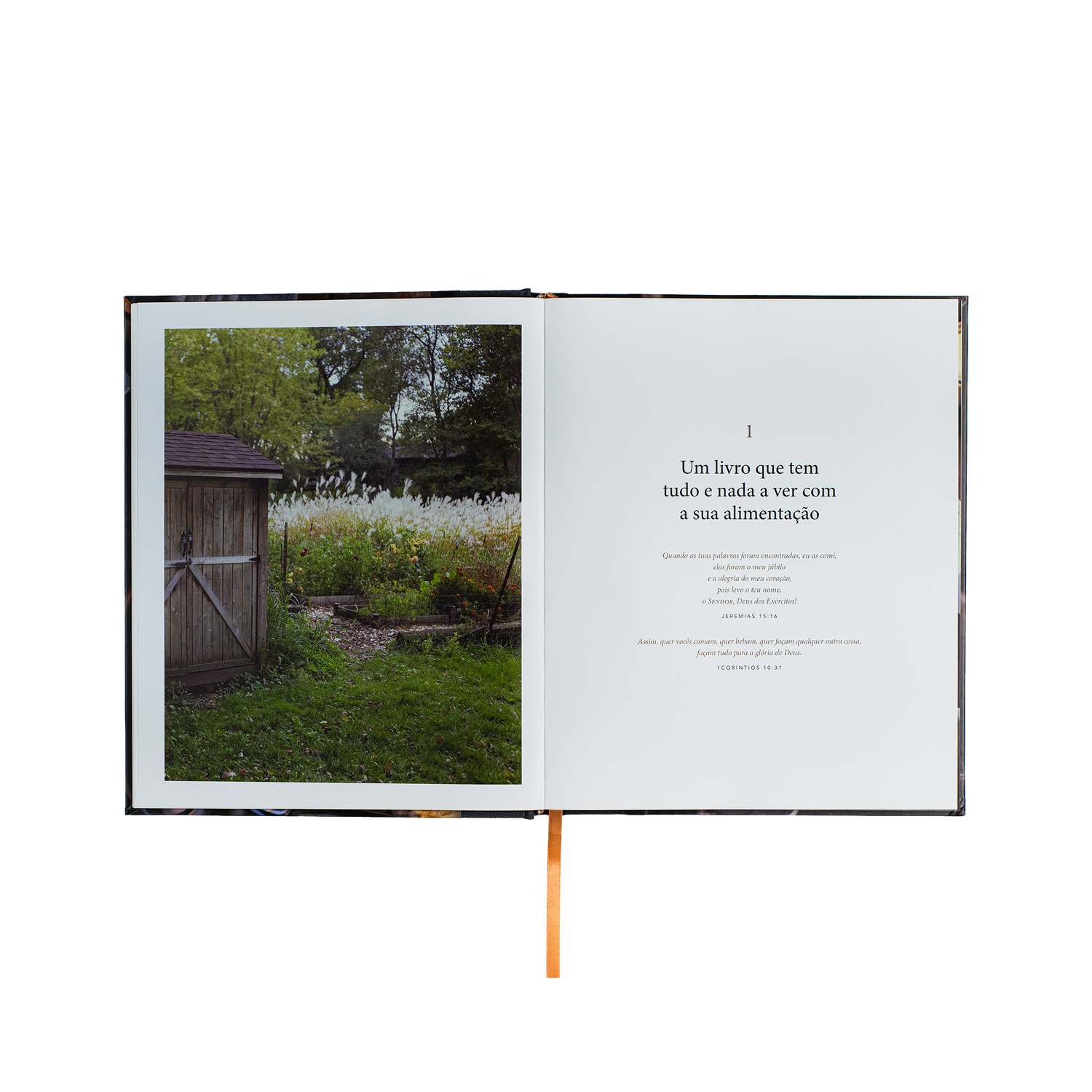 Pão da vida: devocionais que alimentarão sua alma