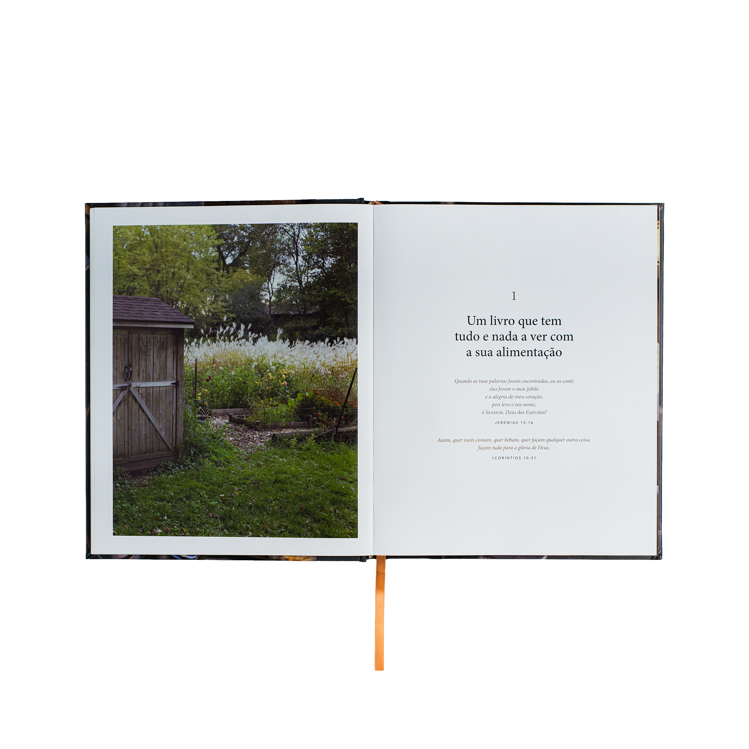 Pão da vida: devocionais que alimentarão sua alma