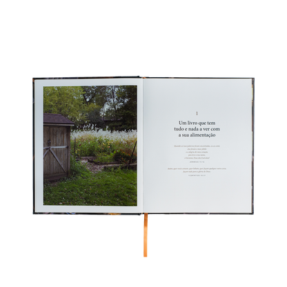 Pão da vida: devocionais que alimentarão sua alma