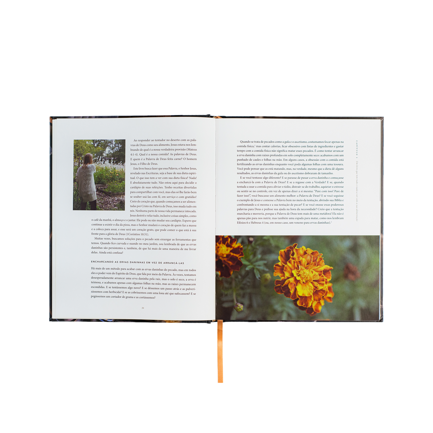 Pão da vida: devocionais que alimentarão sua alma