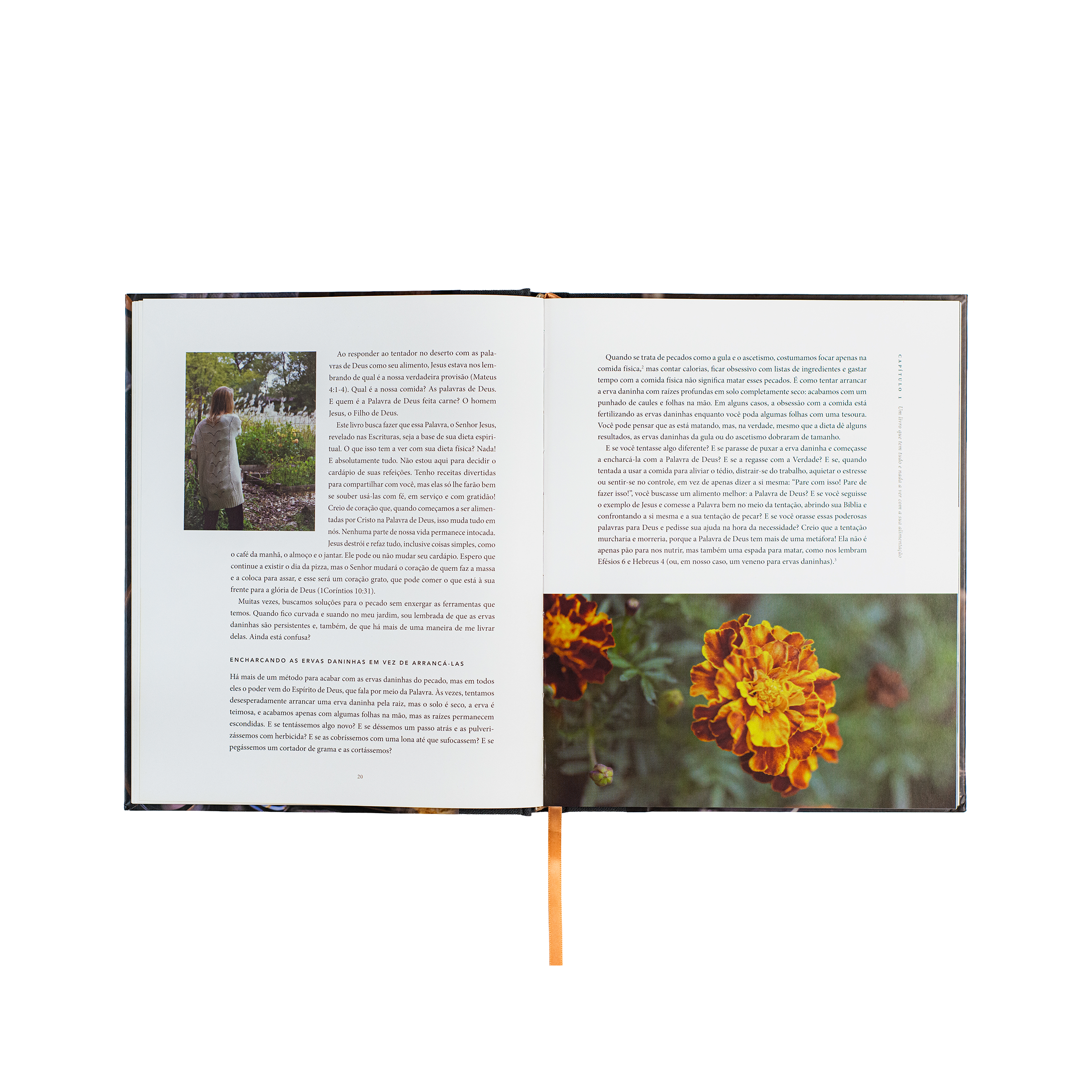 Pão da vida: devocionais que alimentarão sua alma