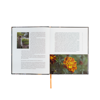 Pão da vida: devocionais que alimentarão sua alma