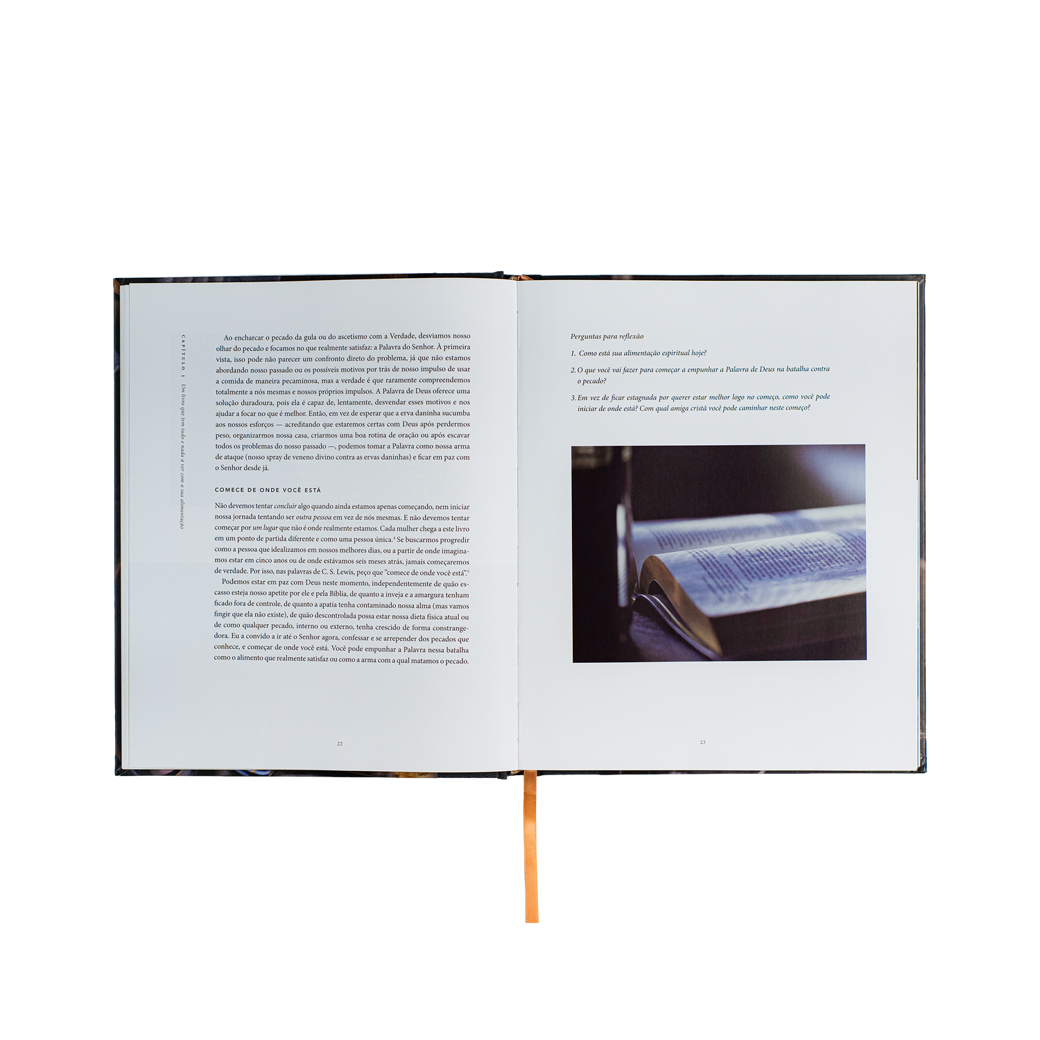 Pão da vida: devocionais que alimentarão sua alma