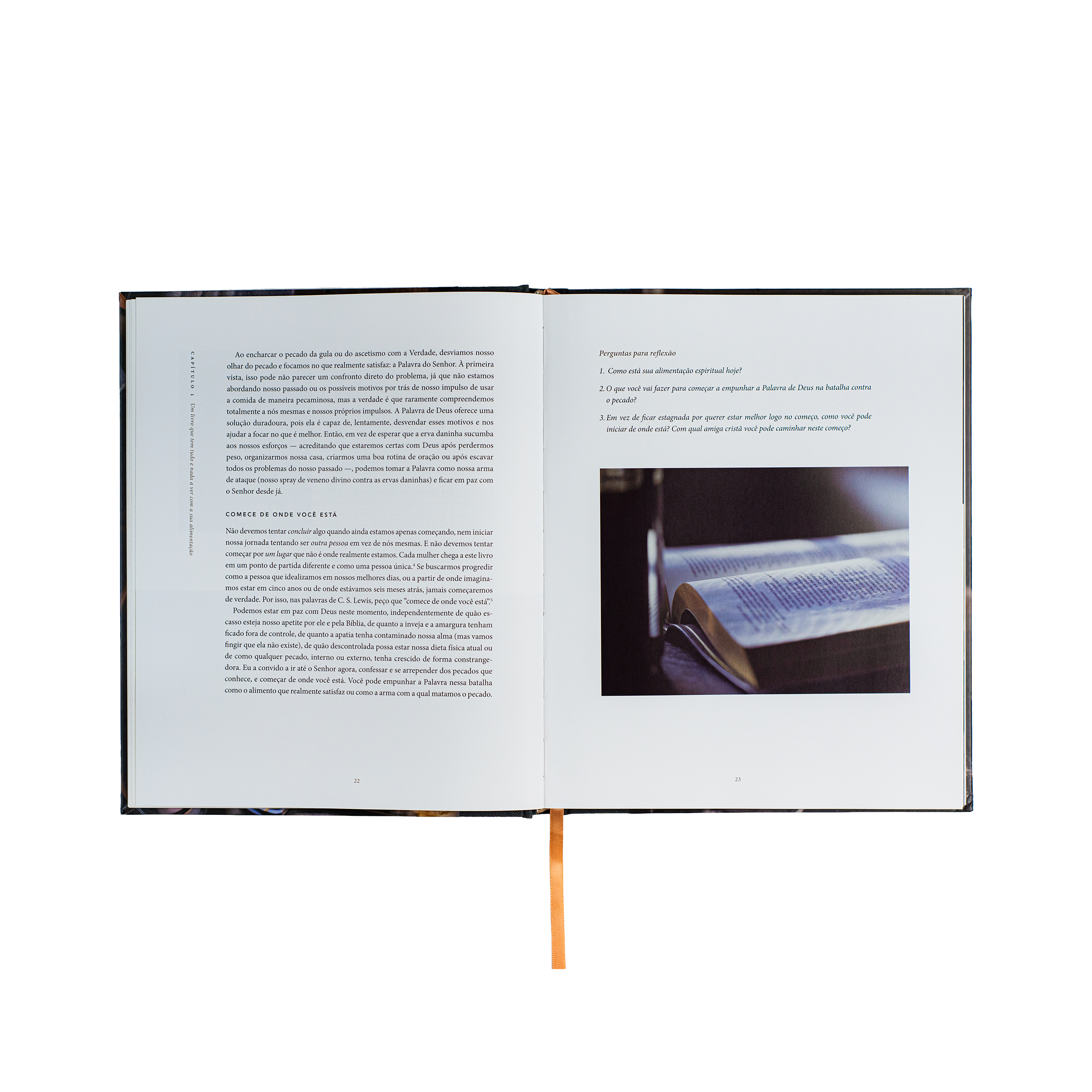 Pão da vida: devocionais que alimentarão sua alma