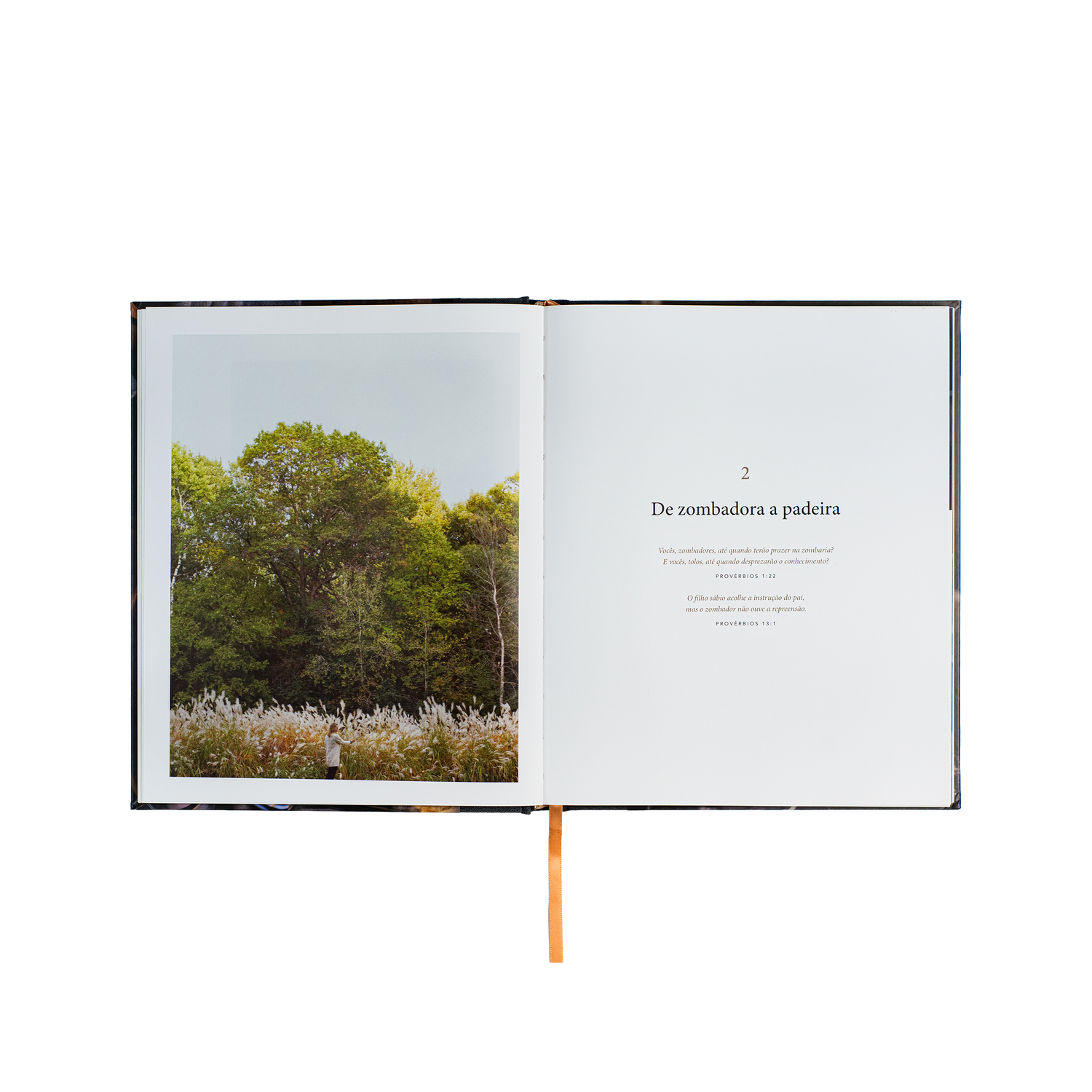 Pão da vida: devocionais que alimentarão sua alma