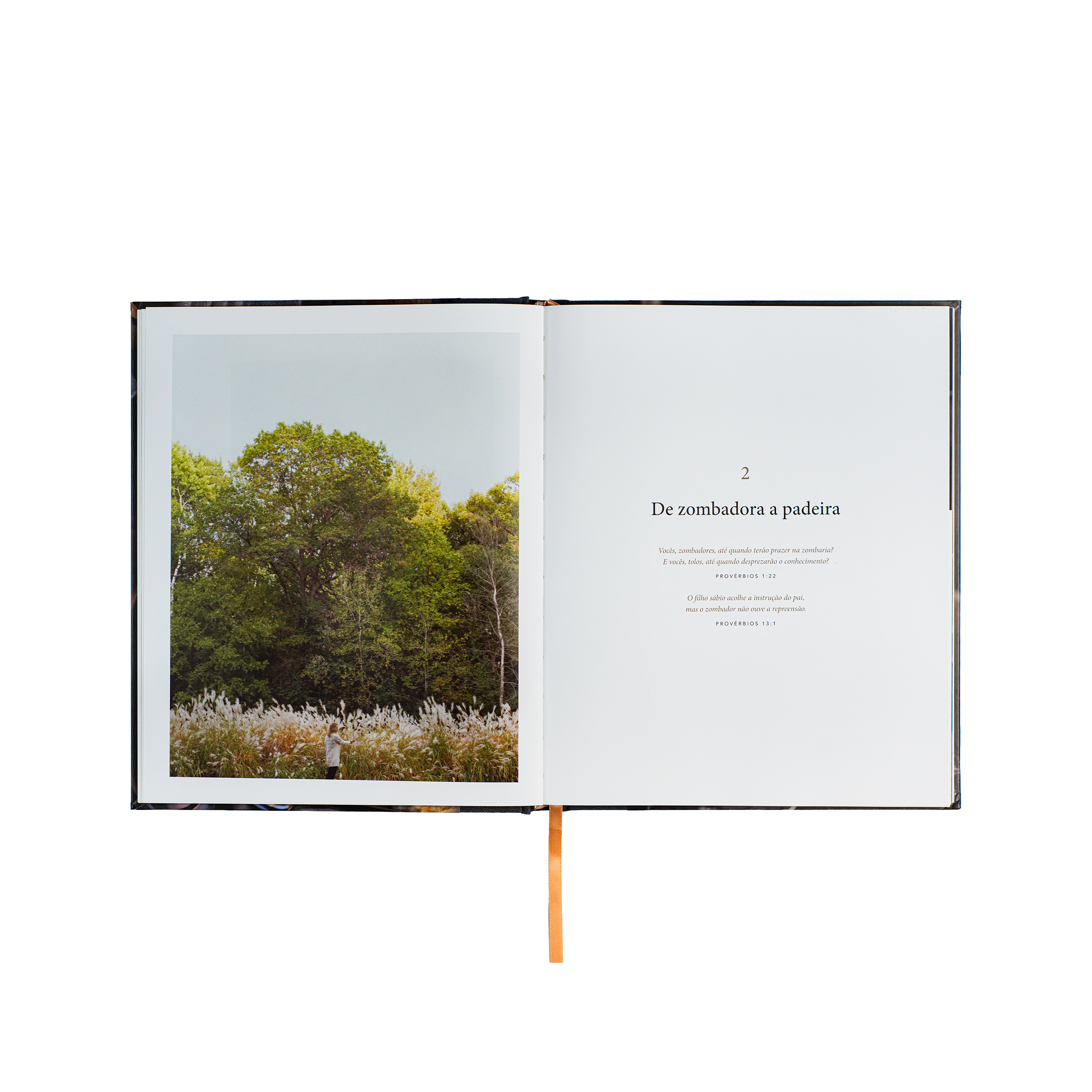 Pão da vida: devocionais que alimentarão sua alma