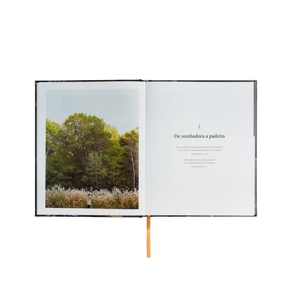 Pão da vida: devocionais que alimentarão sua alma