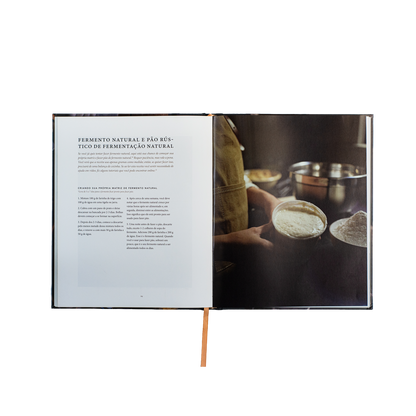 Pão da vida: devocionais que alimentarão sua alma