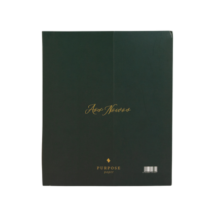 Planner de casamento Nossa Aliança embalagem envelope