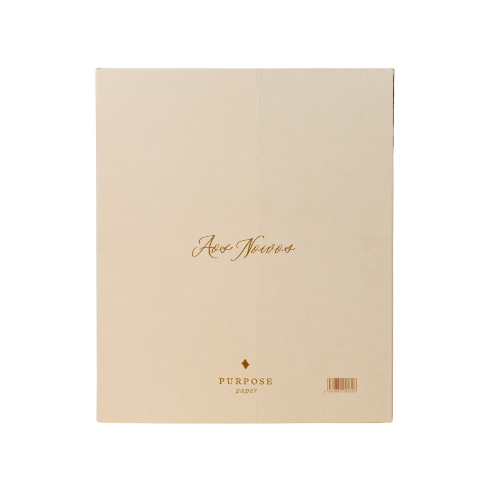 Planner de casamento Nossa Aliança envelope Off White Véu