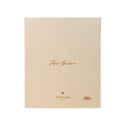 Planner de casamento Nossa Aliança envelope Off White Véu