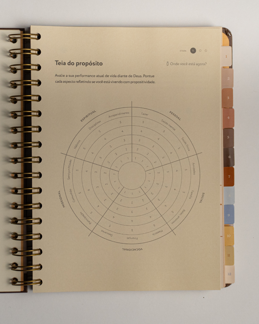 Purpose_Planner_2026 - Teia do Propósito  analise a si mesmo -  Purpose Paper