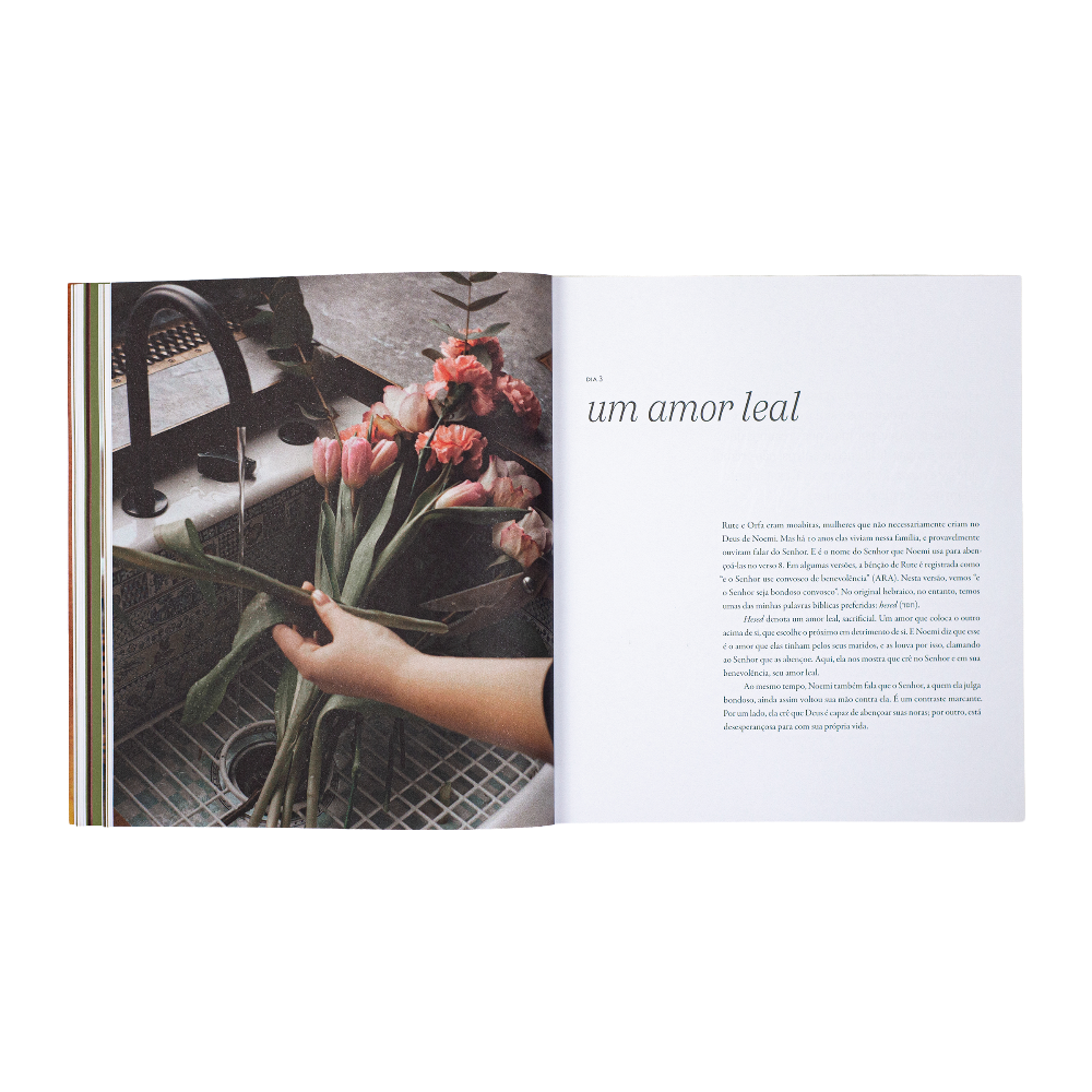 estudo bíblico em rute francine walsh