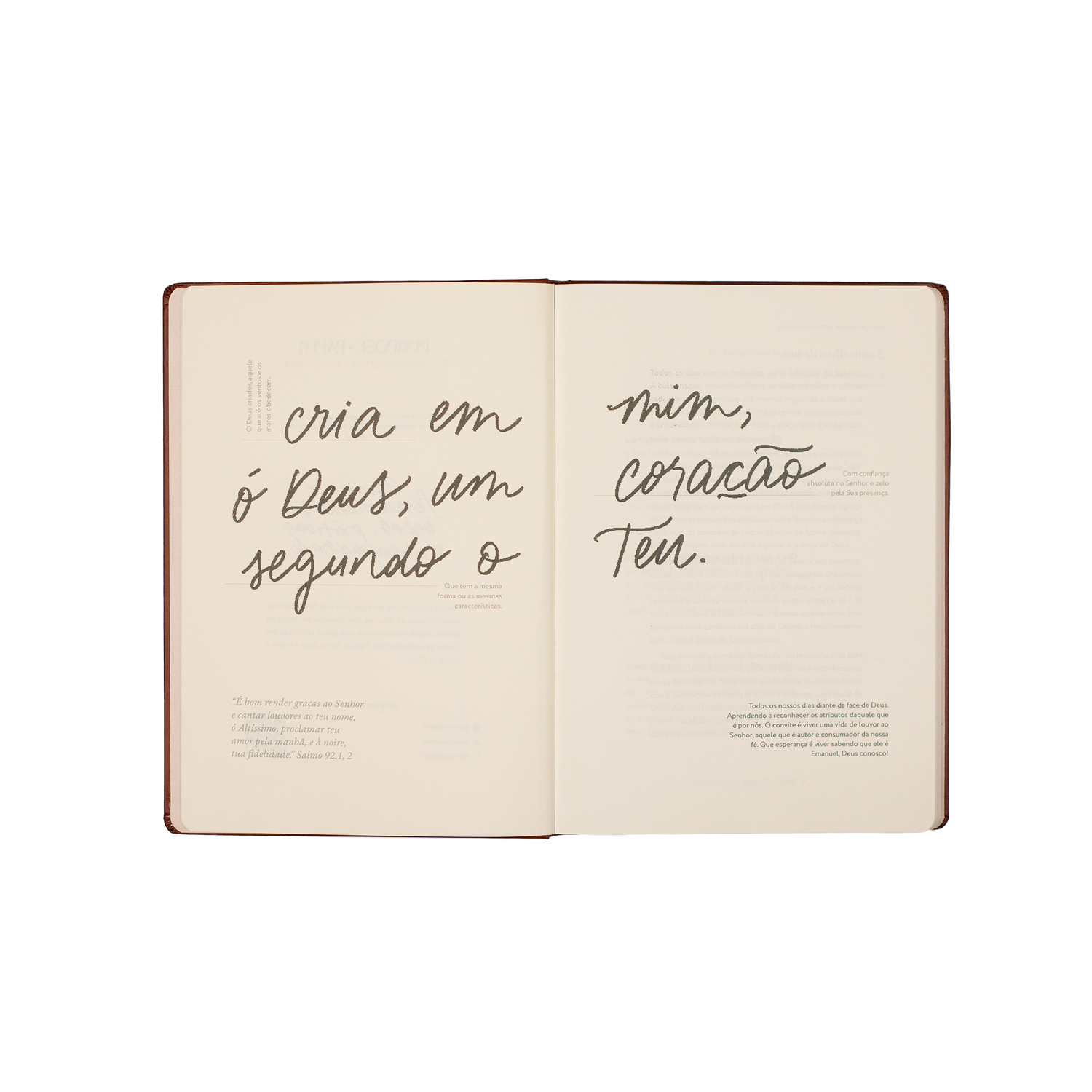Graças ao meu bom Deus: Journal de Gratidão