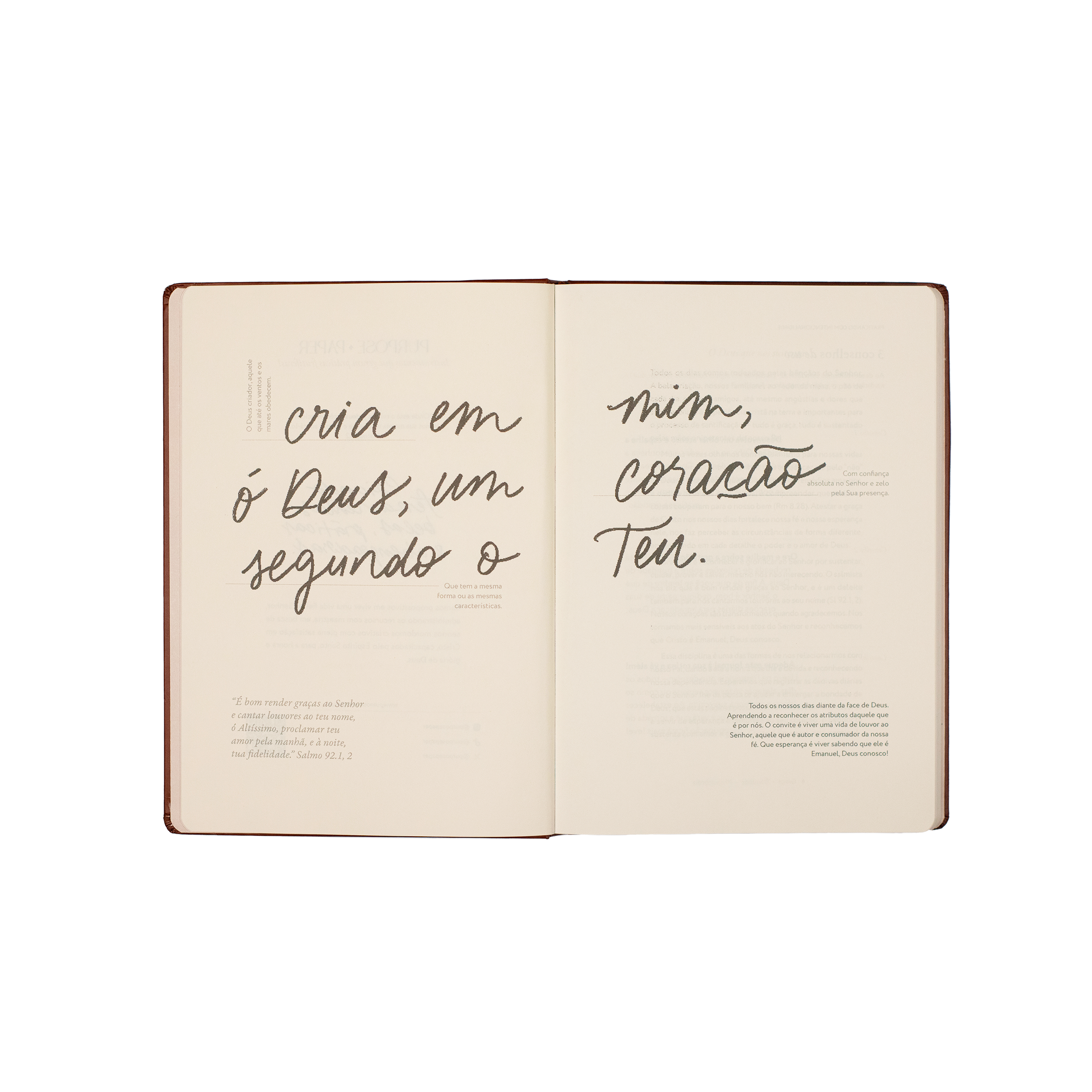 Graças ao meu bom Deus: Journal de Gratidão