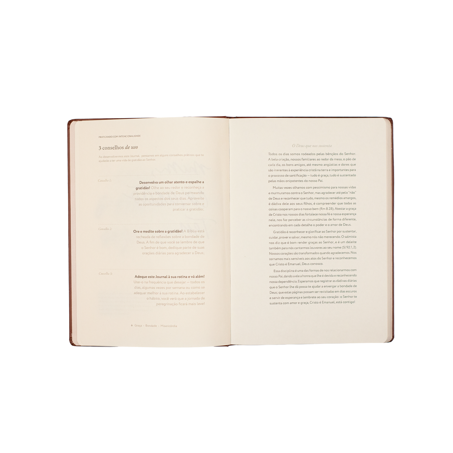 Graças ao meu bom Deus: Journal de Gratidão
